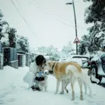 Melyssa Pinto posando en la nieve horas antes de su accidente - Fuente: @melyssapiinto