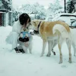 Melyssa Pinto posando en la nieve horas antes de su accidente - Fuente: @melyssapiinto