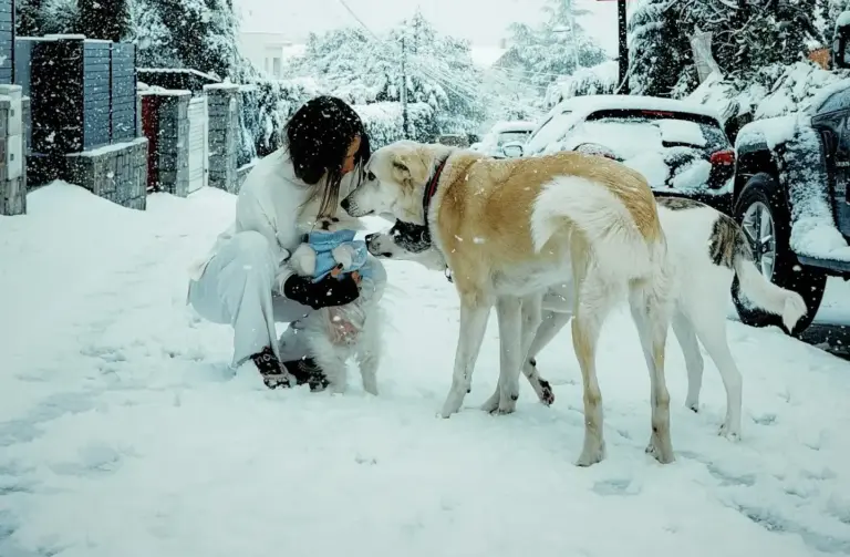 El accidente de Melyssa Pinto que acaba con Mario Casas al rescate