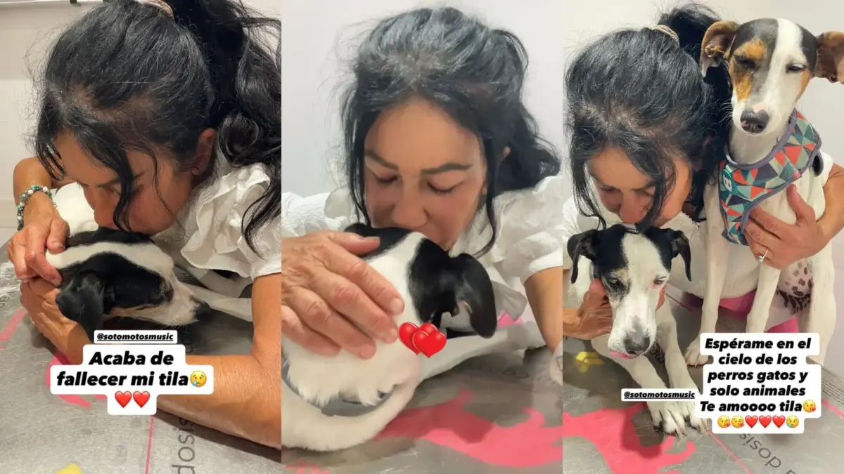 Maite Galdeano sufre una importante pérdida en su vida:”Espérame en el cielo” Maite Galdeano junto a su perra Tila - Fuente: Instagram