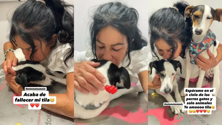 Maite Galdeano sufre una importante pérdida en su vida:”Espérame en el cielo”