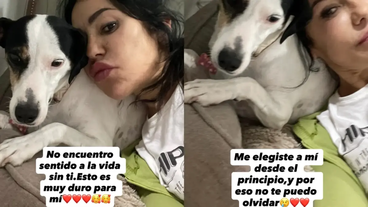 Maite Galdeano sufre una importante pérdida en su vida:”Espérame en el cielo” Maite Galdeano junto a su perra Tila - Fuente: Instagram
