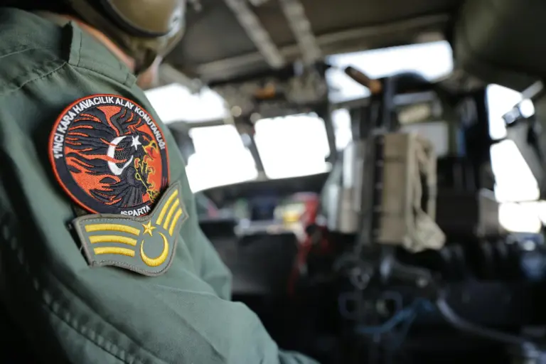 Parche pollo amarillo Leonor: el curioso emblema militar que nadie había explicado
